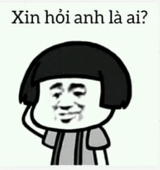 Mặt meme gấu trúc biểu cảm ngơ ngác
