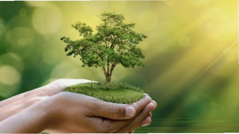Màu xanh lá cây tượng trưng cho mệnh Mộc, biểu thị sự tươi mới và sức sống