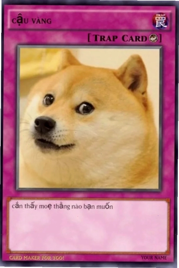 Meme bài với nhiều mẫu đa dạng