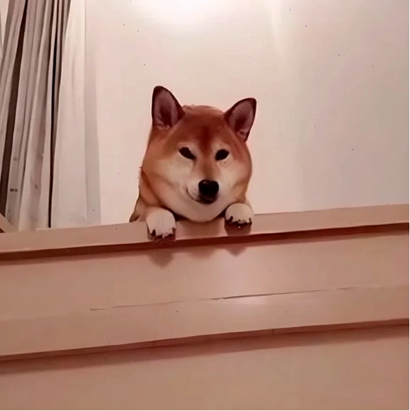 Meme biểu cảm giả vờ ngây thơ khi bị hỏi về chuyện hóng hớt