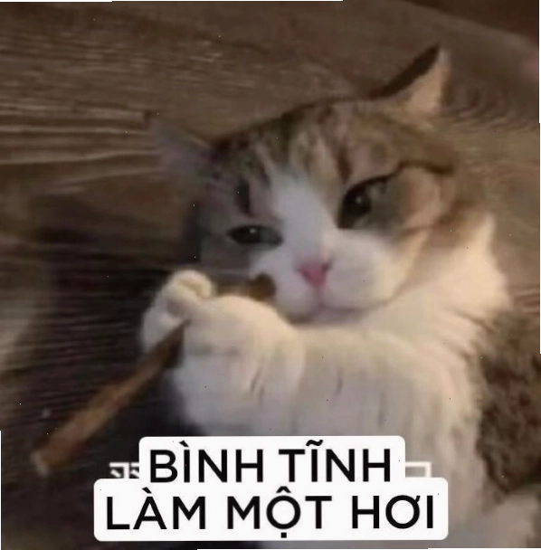 Meme bình tĩnh nào mọi người ơi