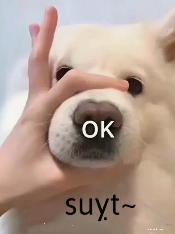 Meme bịt miệng (5) với đôi mắt biểu cảm
