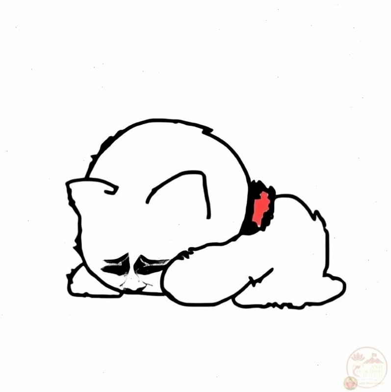Meme cầu xin hài hước