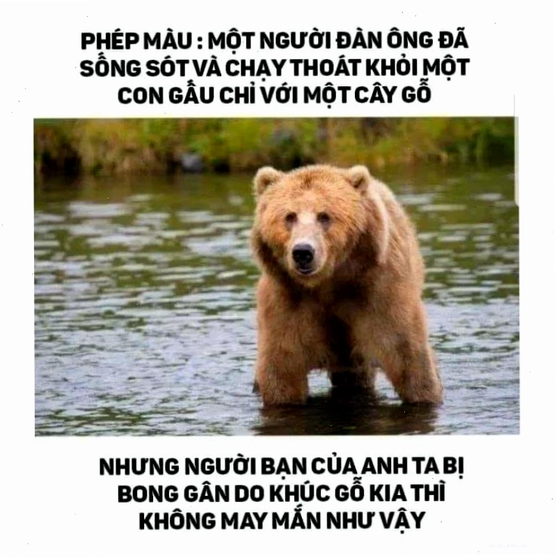 Meme chế cực dark với sự sáng tạo không giới hạn