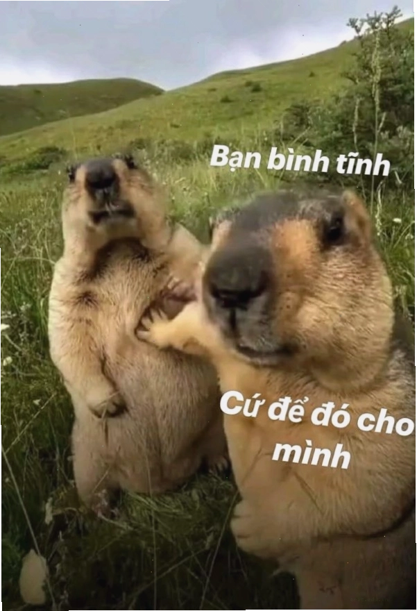 Meme "chỉ là hiểu lầm thôi"