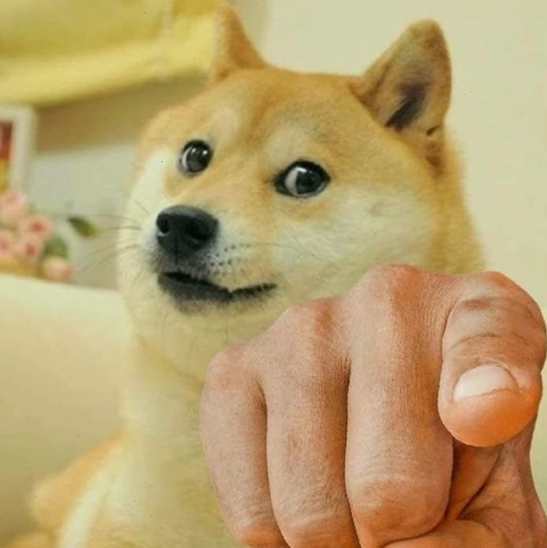 Meme chó chỉ tay hài hước