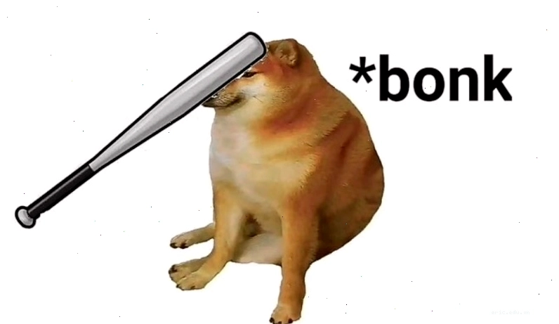 Meme chú chó hài hước với biểu cảm đặc biệt