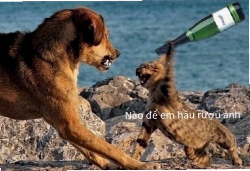 Meme chú chó lầy lội