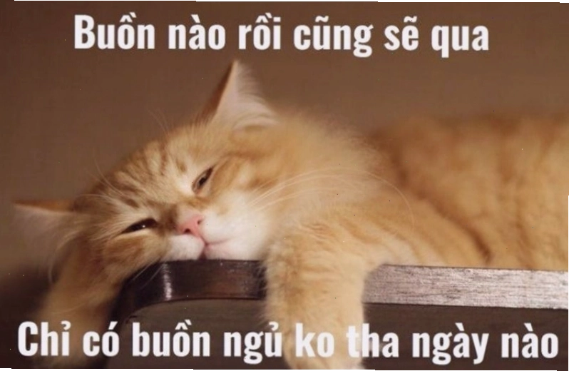 Meme chúc ngủ ngon hài hước với biểu cảm ngái ngủ
