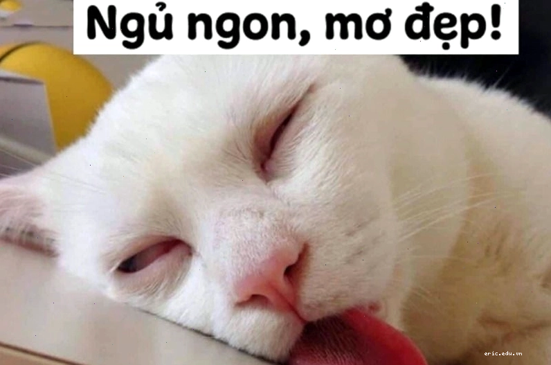 Meme chúc ngủ ngon với hình ảnh dễ thương thể hiện sự buồn ngủ