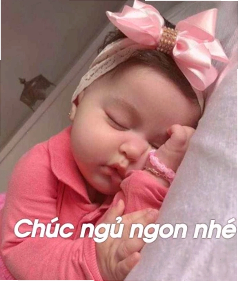 Meme dễ thương với hình ảnh động vật buồn ngủ