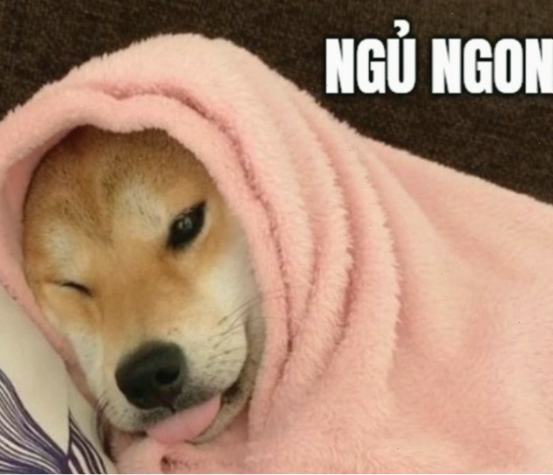 Meme động vật ngộ nghĩnh thể hiện sự buồn ngủ