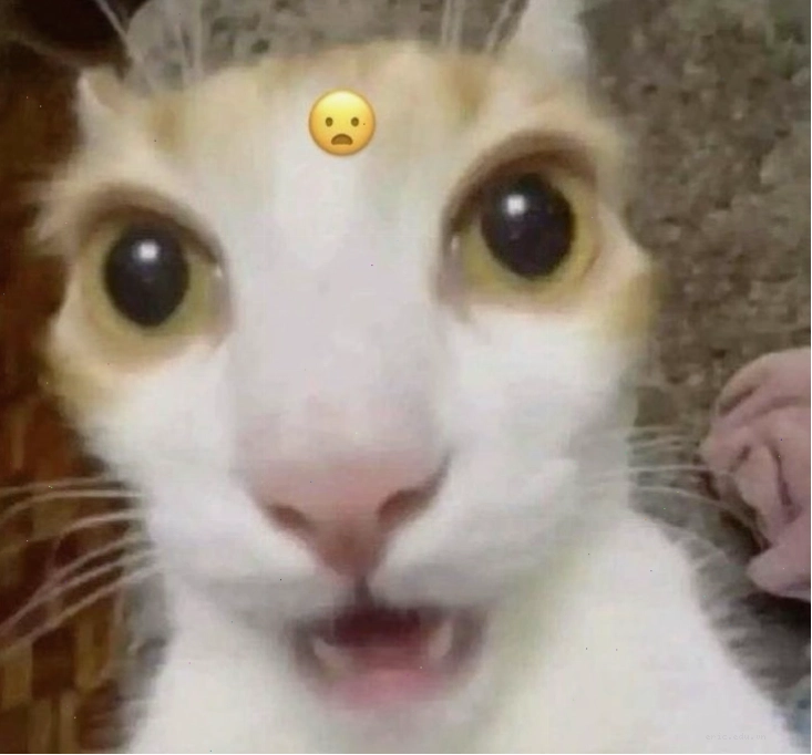 Meme haha vui nhộn phù hợp với nhiều tình huống giao tiếp