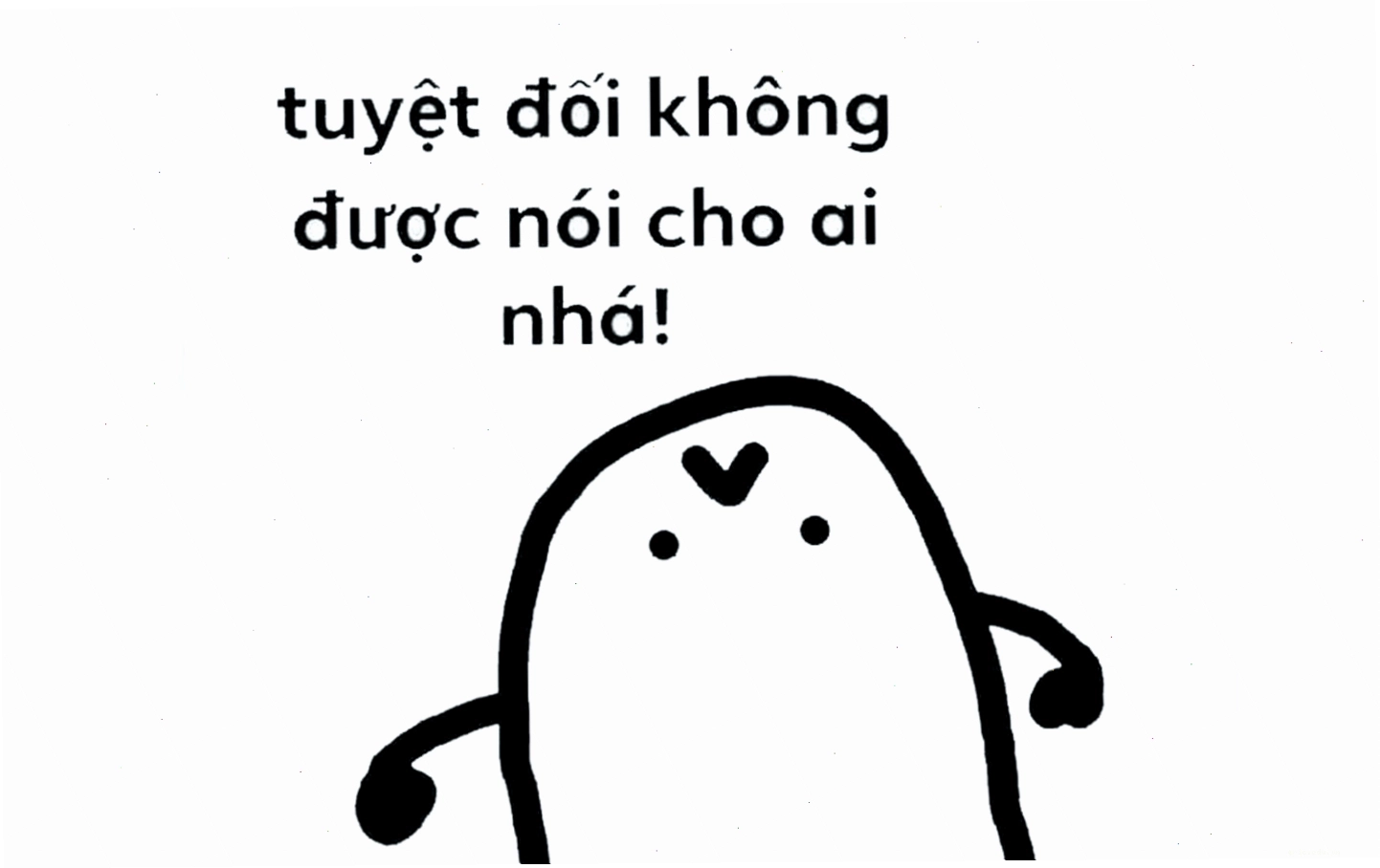Meme hài bựa về mèo với hành động ngộ nghĩnh