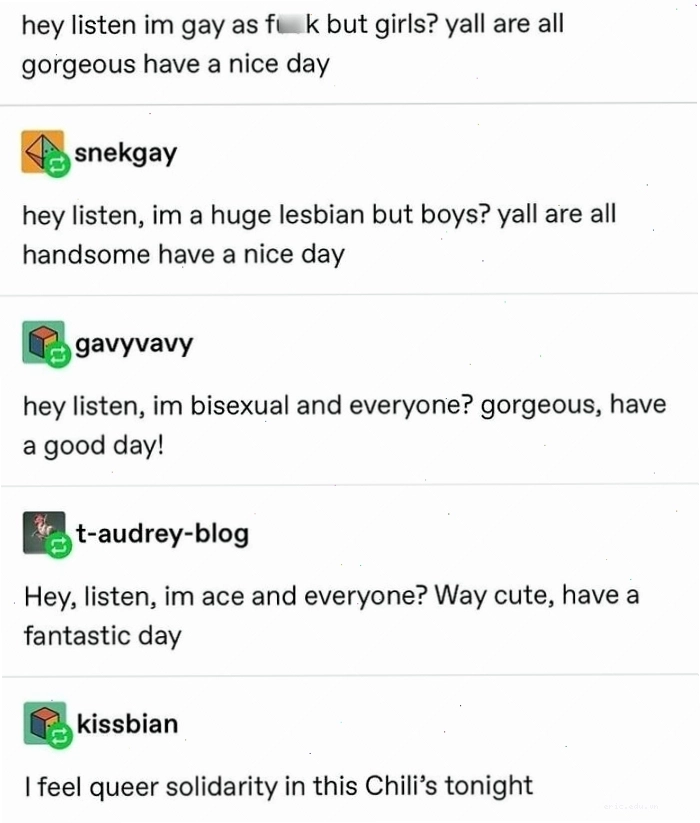 Meme LGBT thể hiện sự đa dạng bản sắc và ủng hộ lẫn nhau
