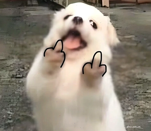 Meme mặt khinh bỉ với ánh mắt sắc sảo