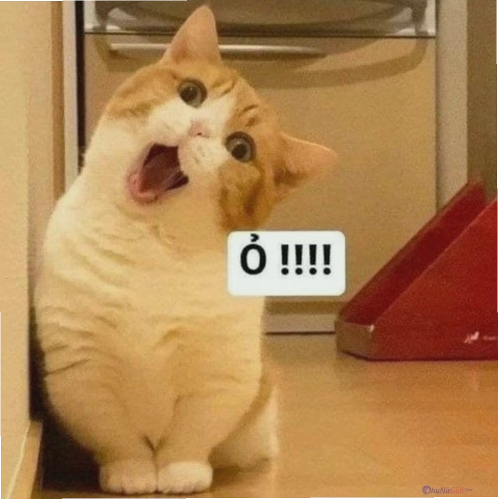 Meme mèo bất ổn