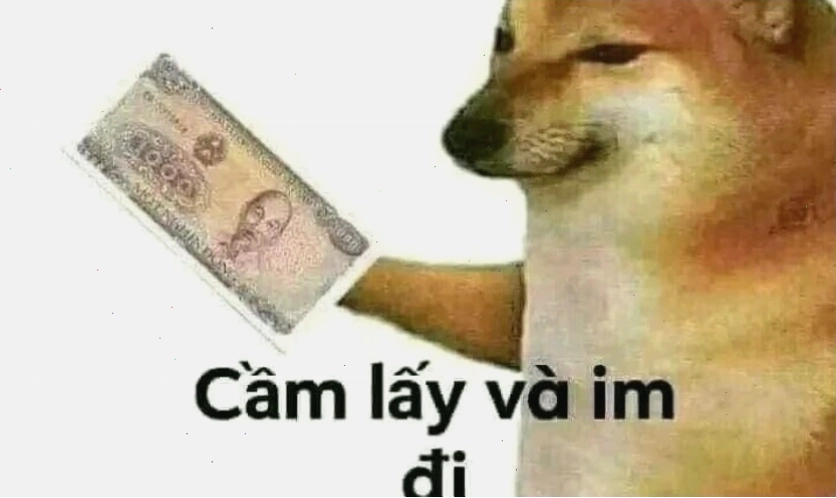 Meme mèo bựa với biểu cảm khó đỡ