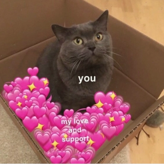 Meme mèo với vẻ mặt mếu máo khi bị từ chối