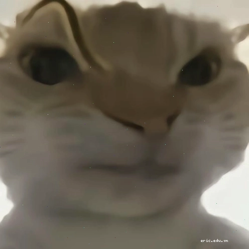 Meme nghi ngờ thể hiện sự bất lực