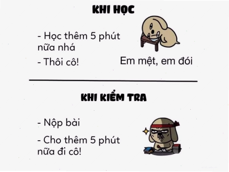 Meme nhăn mặt so sánh thời gian học và thi