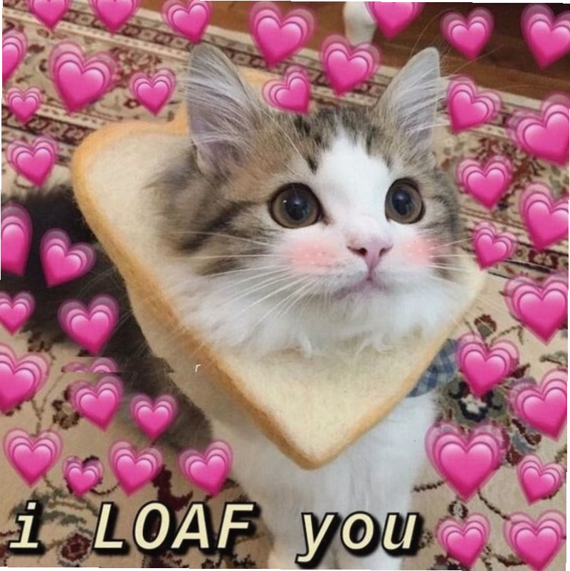 Meme tình yêu giới thiệu khái niệm và cách thể hiện