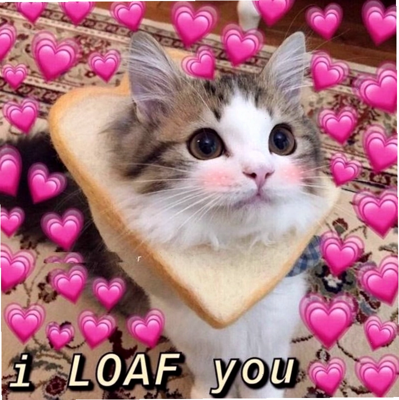 Meme tình yêu minh họa sự quan tâm và chăm sóc