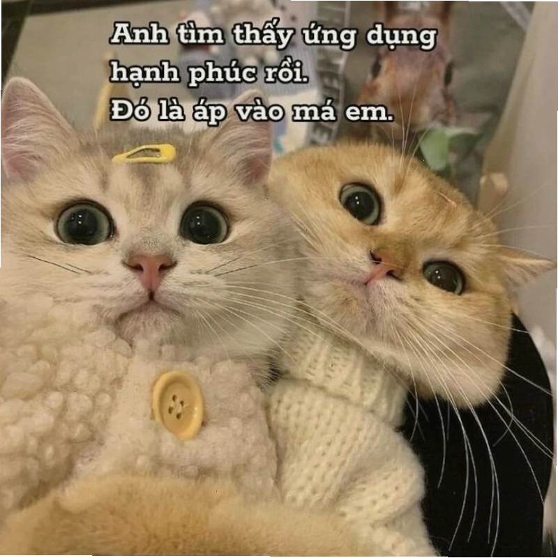 Meme tình yêu tâm trạng về những lời hứa hẹn