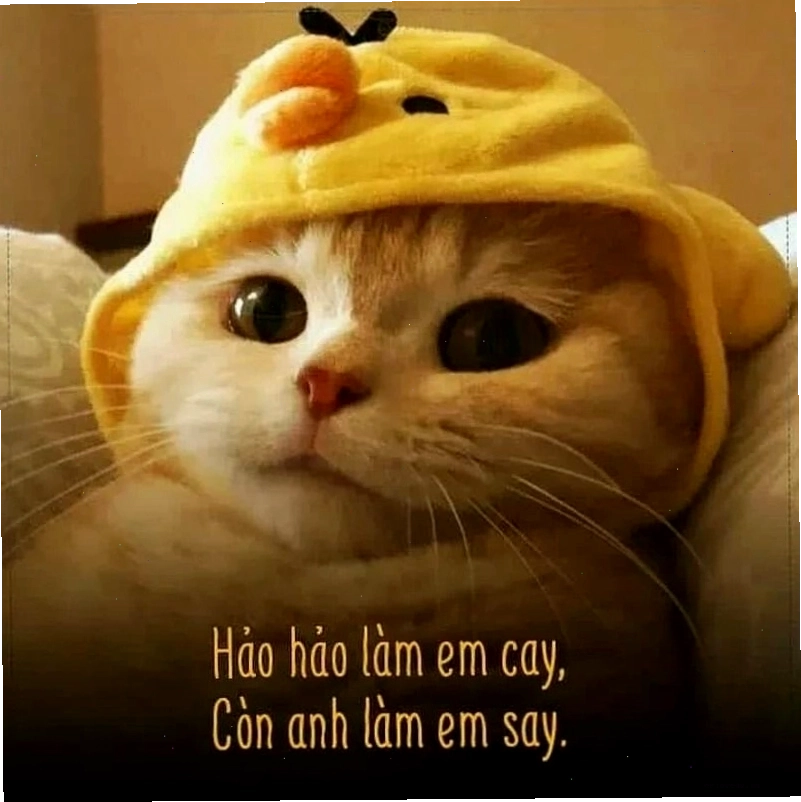 Meme tình yêu tâm trạng về những suy tư trong tình yêu