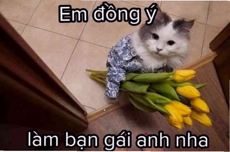 Meme tình yêu tâm trạng về sự cô đơn