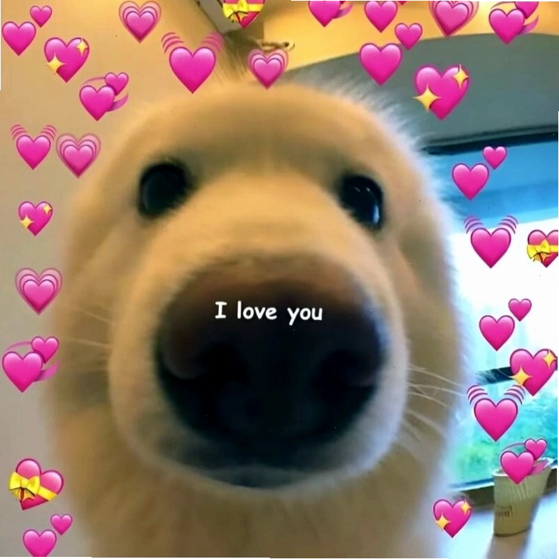 Meme tình yêu thể hiện sự đồng cảm và thấu hiểu