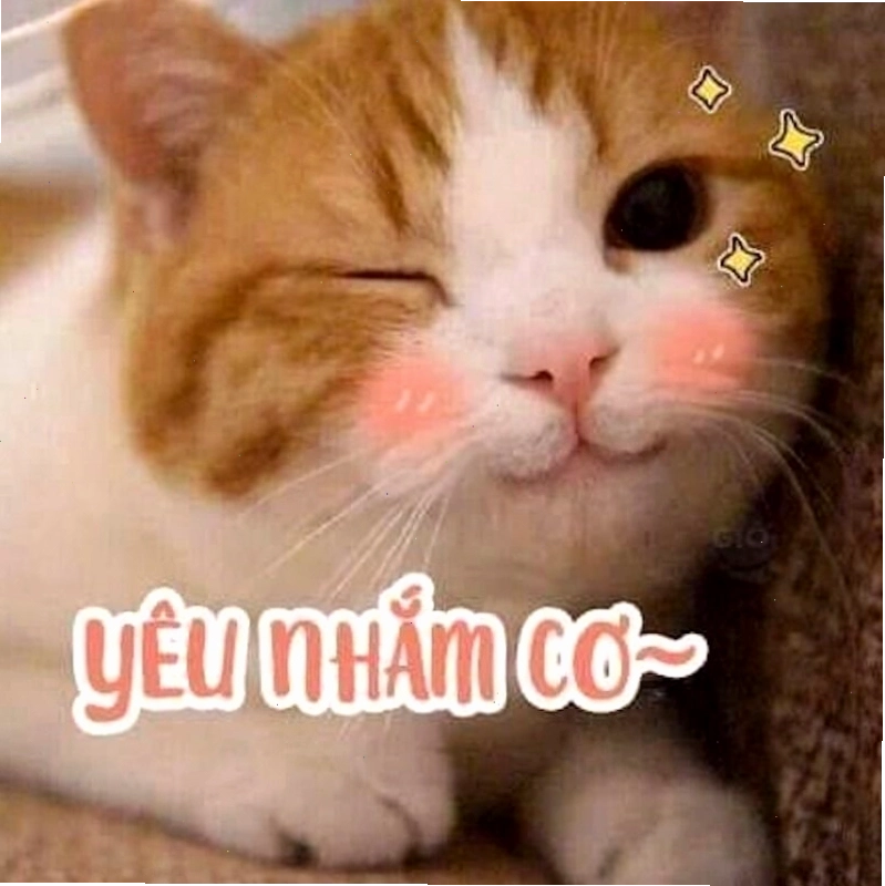 Meme tình yêu về những khoảnh khắc đời thường