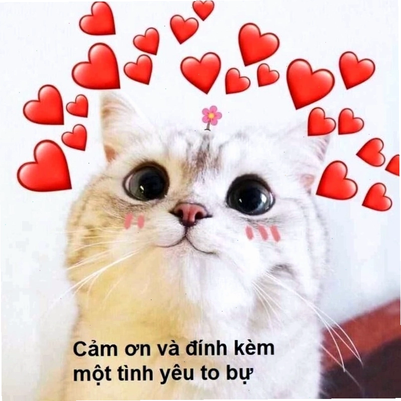 Meme tình yêu về sự chờ đợi và mong nhớ