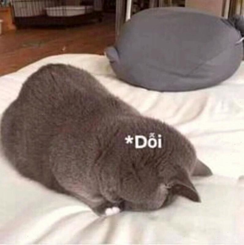 Meme tình yêu về sự gắn bó và chia sẻ