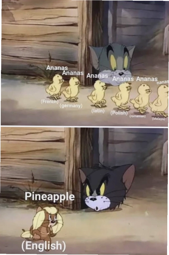 Meme Tom and Jerry hài hước về việc phát âm từ 