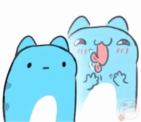 Mèo xanh tỏ vẻ bình tĩnh nhưng thèm khát