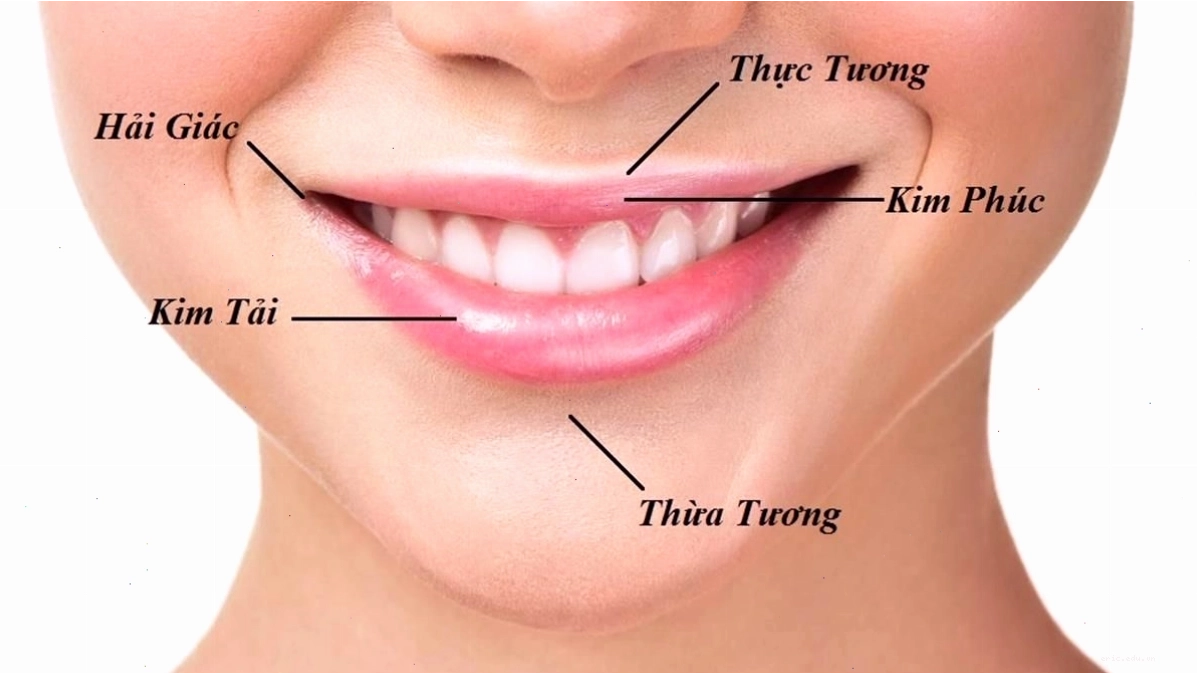 Miệng là bộ phận tiết lộ tài lộc