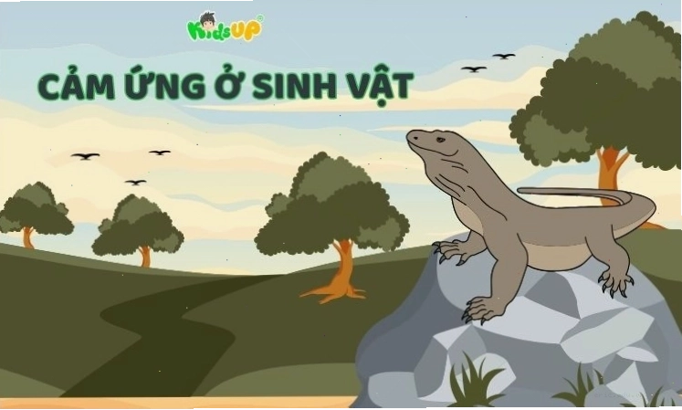 Minh họa khái niệm cảm ứng ở sinh vật