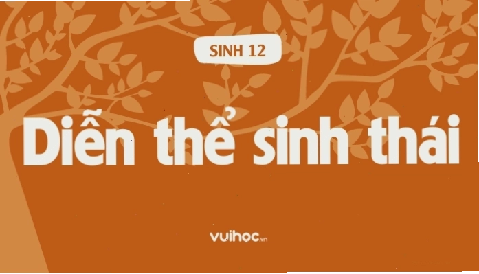Minh họa quá trình diễn thế sinh thái trên đất đá hoang hóa