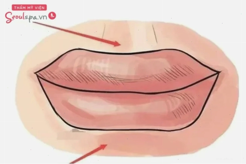 Môi cá chép với môi trên và môi dưới đều dày, thể hiện sự sung túc và phúc lộc
