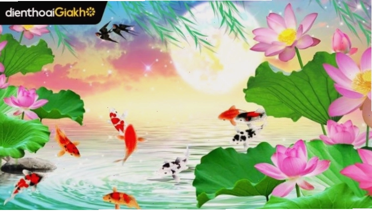 Một bông hoa sen trắng tinh khôi nở rộ giữa hồ nước trong xanh