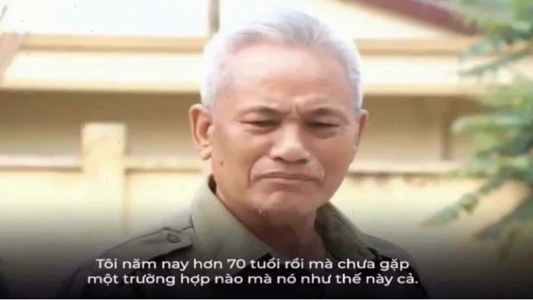 Một meme mèo biểu cảm hài hước