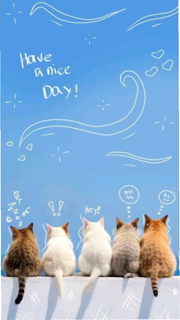 Ngày tuyệt vời của những người bạn mèo làm hình nền máy tính