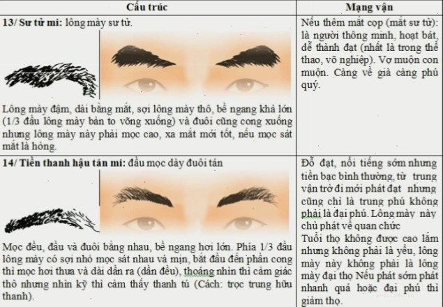Người có lông mày rậm thường có ý chí mạnh mẽ và quyết đoán