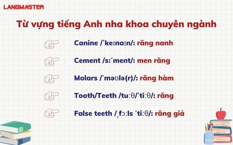 Người học đang ghi chép các thuật ngữ tiếng Anh chuyên ngành nha khoa
