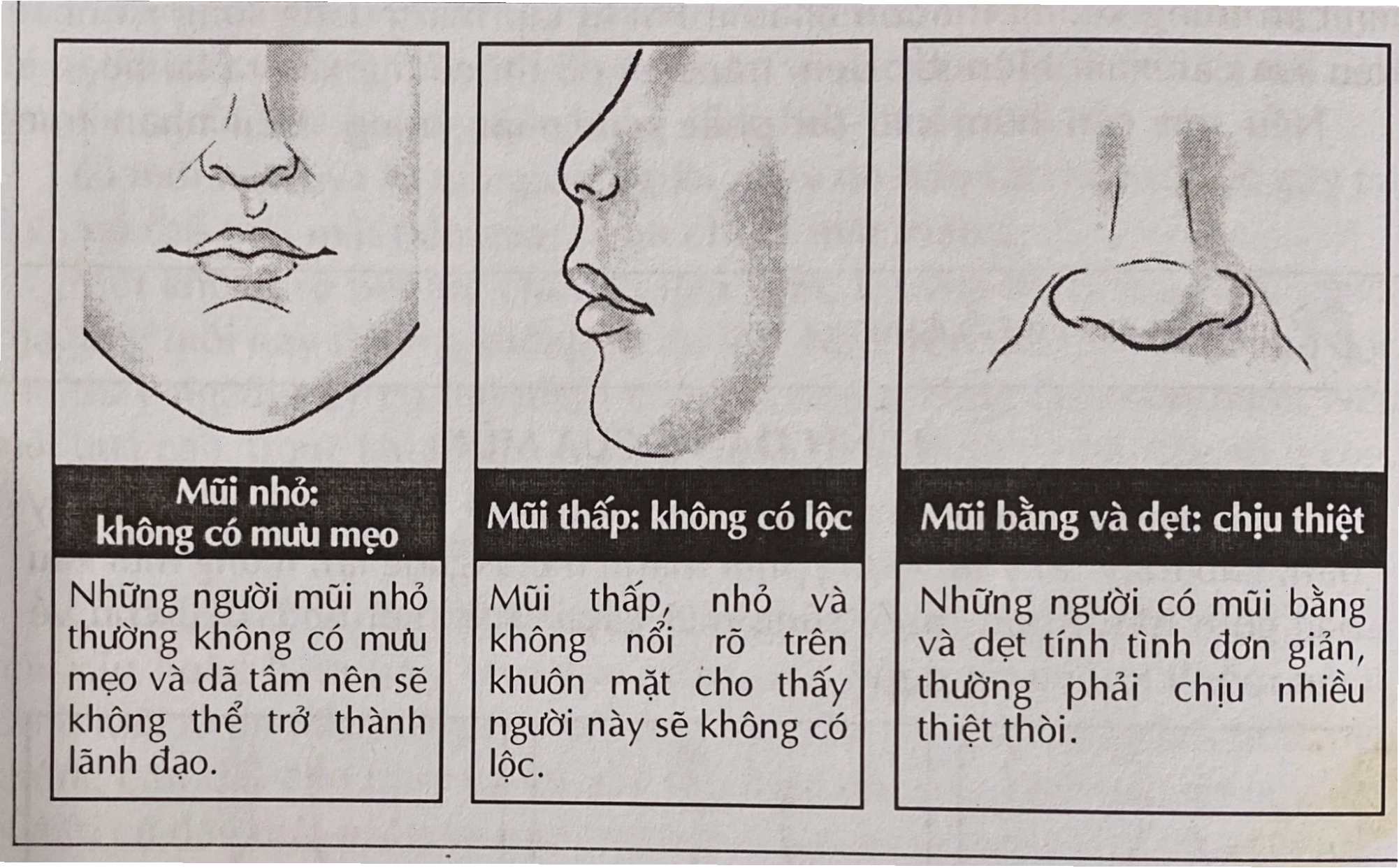Nhân tướng học tướng mũi