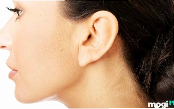 Nhân tướng học về đôi tai và sự nghiệp