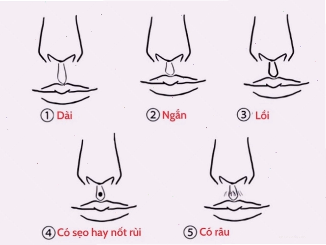 Phân tích tướng nhân trung phụ nữ trong xem tướng mặt