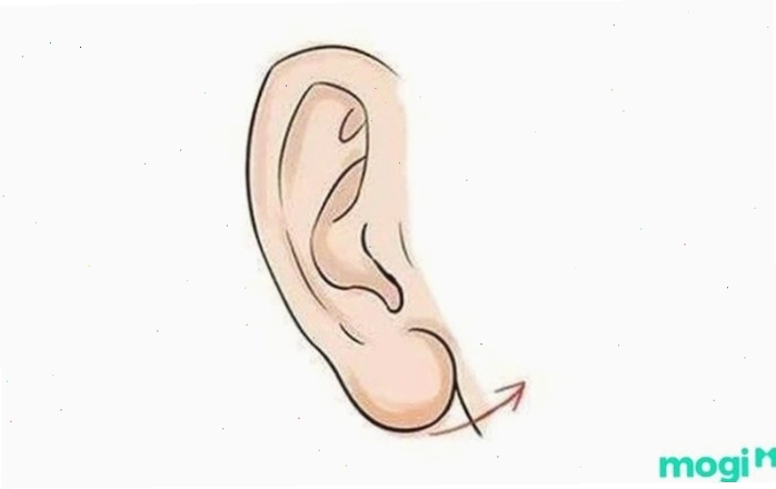Phân tích ý nghĩa phong thủy của tướng tai