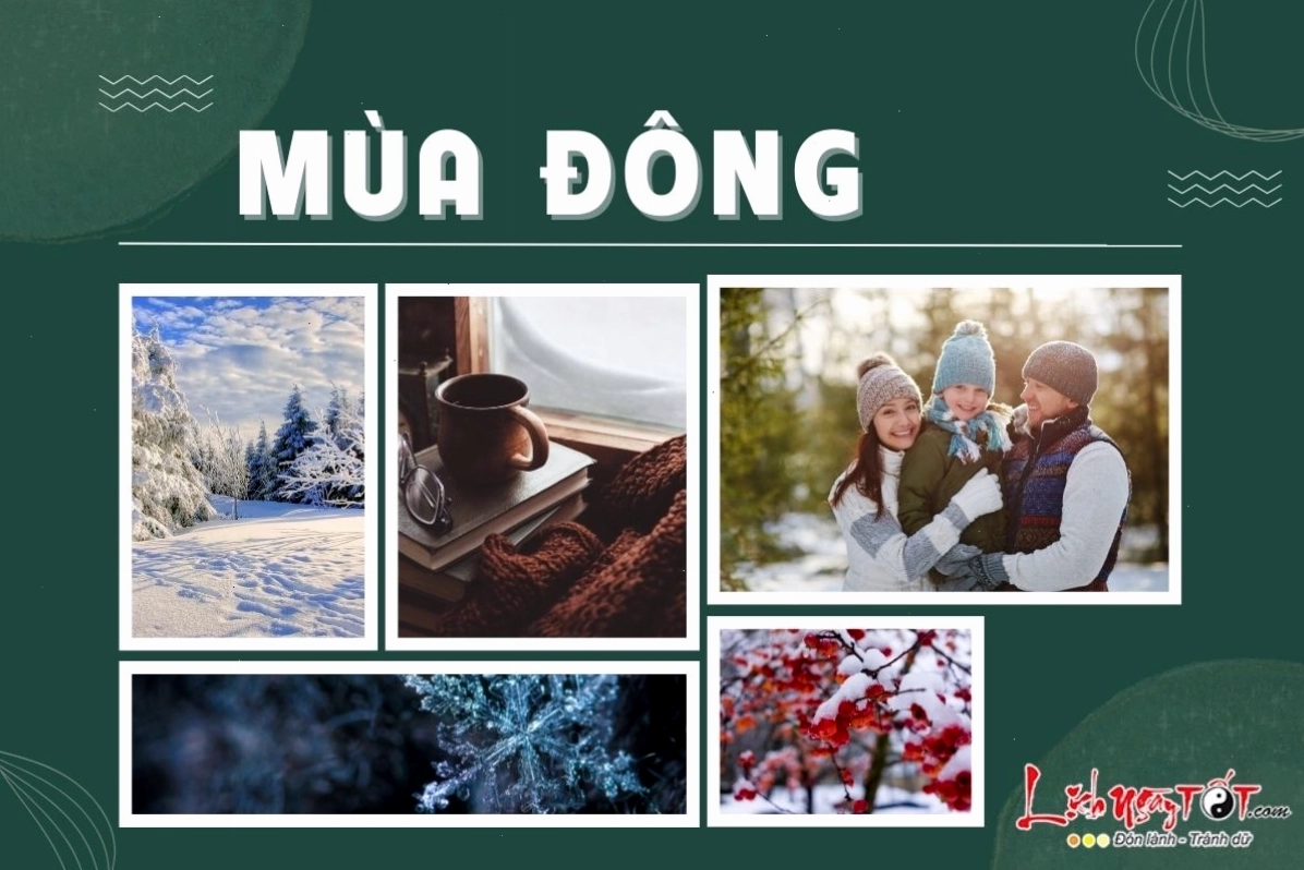 Phong cảnh mùa đông với tuyết phủ